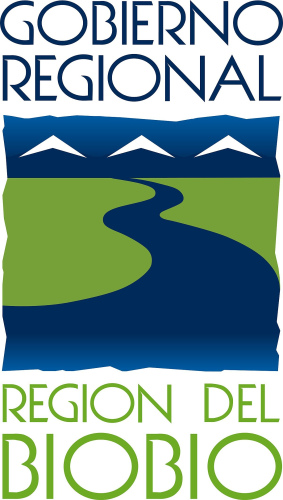 GOBIERNO REGIONAL DEL BIOBÍO